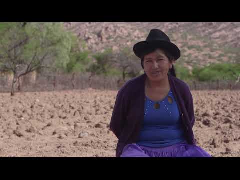 FIDA: Bolivia, Conocimientos ancestrales sobre el clima